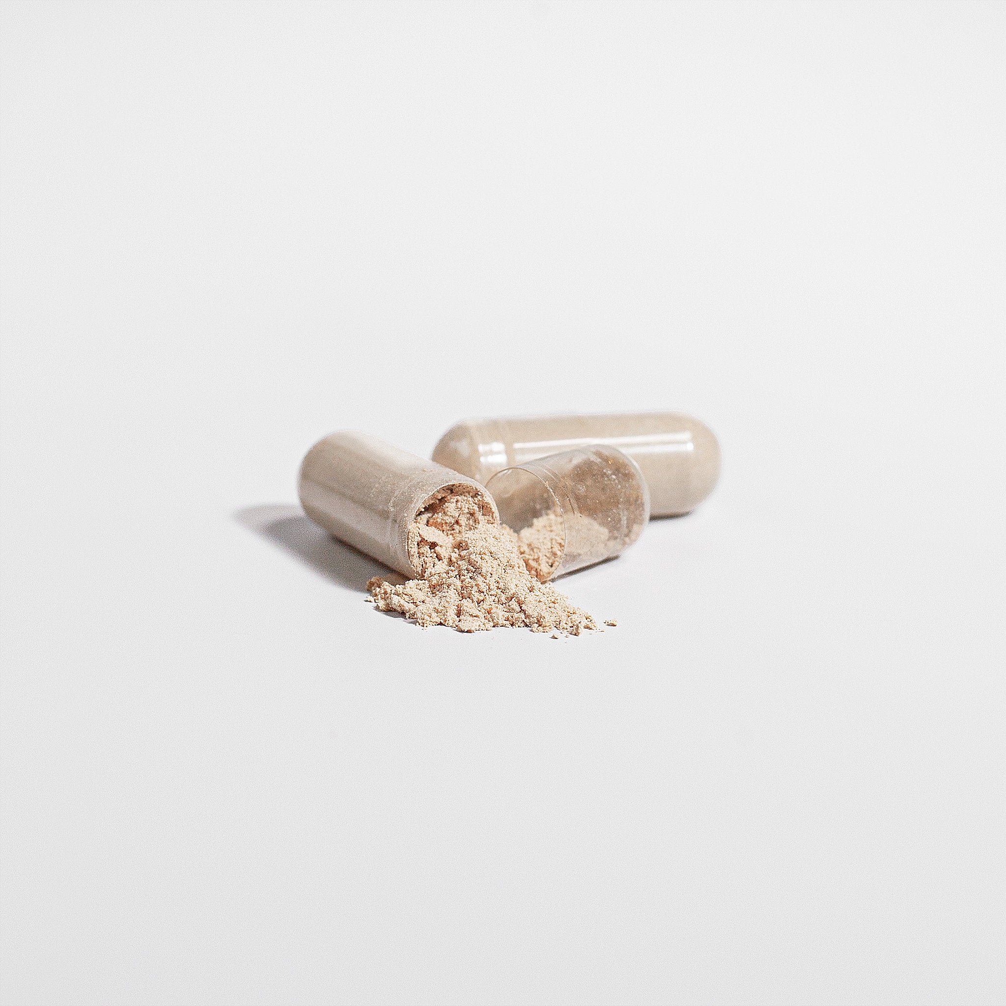 Ripkitty Quantum Mind: Organic Lion's Mane 1000mg (60 Capsules)