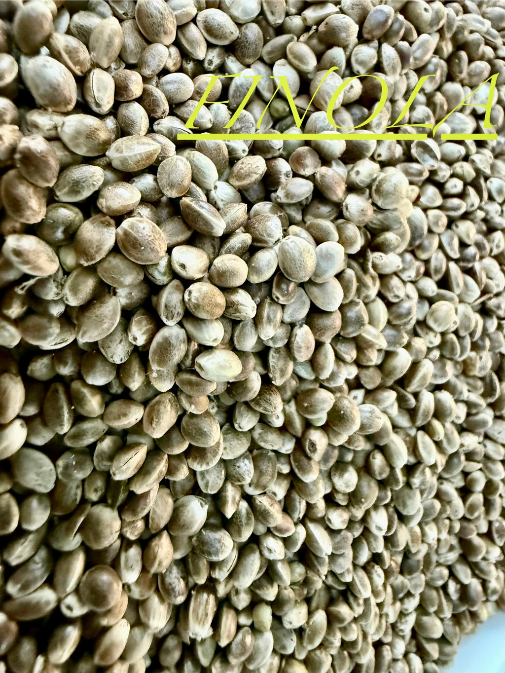 Ripkitty International & Domestic Live Raw Viable Hemp Seeds Sold in Bulk & Single Amounts for Agriculture, Poultry, Equine Feeding, & Livestock
