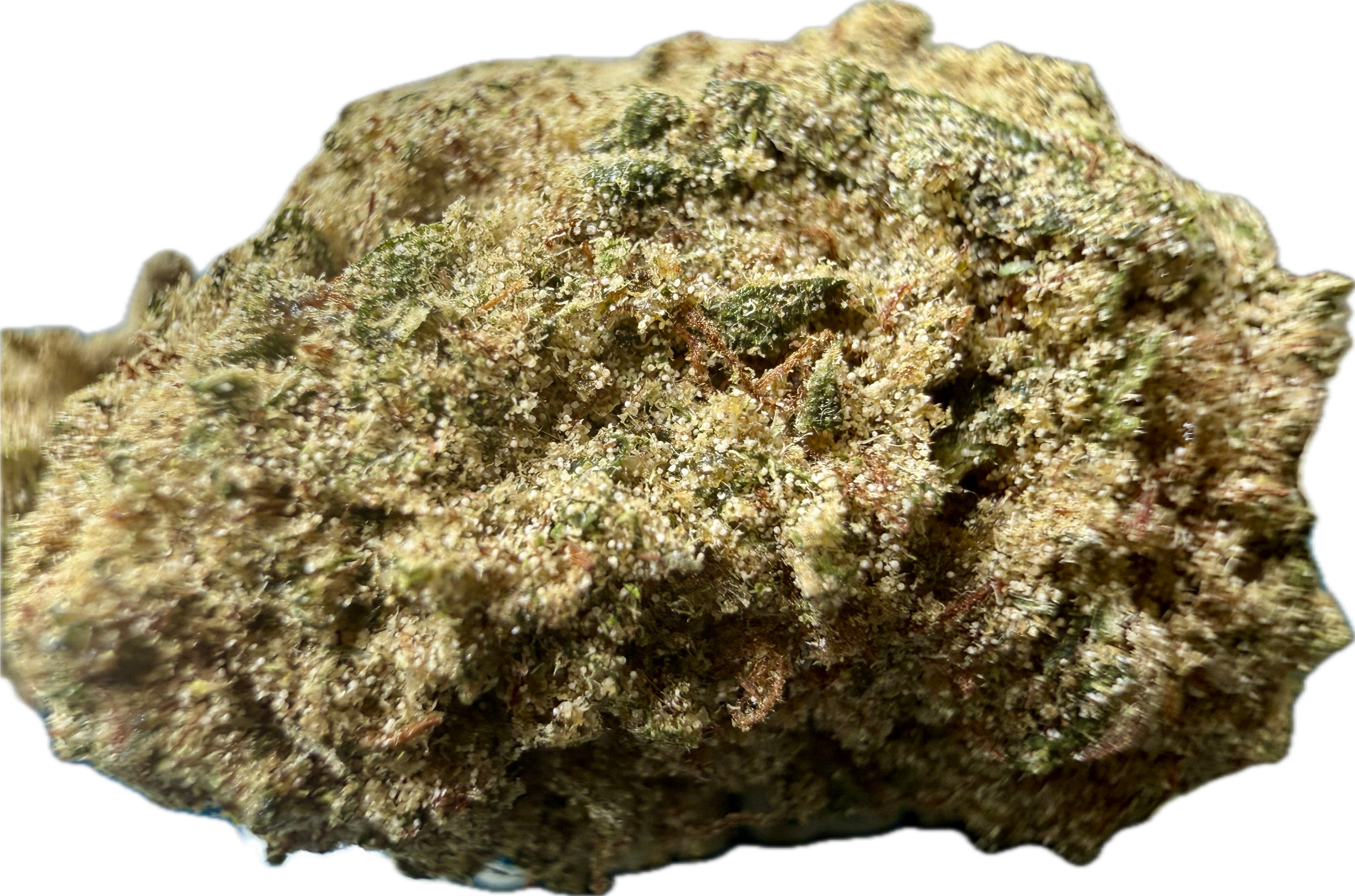 Extreme macro close-up of Ripkitty Elk Paccio Delta-8 moonrock nug — thick golden-tan kief coating over dense green calyxes with amber and rust-toned pistils visible throughout, white background