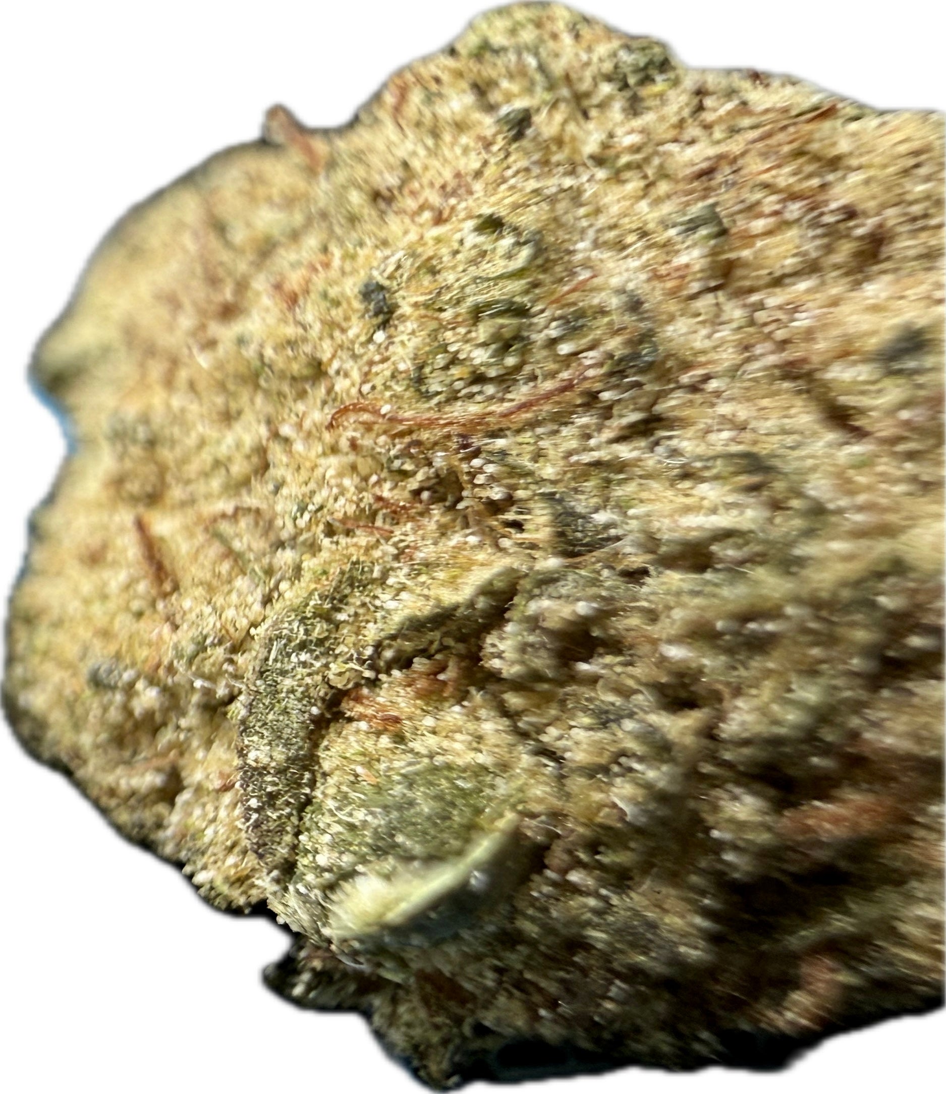 Macro close-up of Ripkitty Angel Cake Delta-8 moonrock nug — dense golden kief and concentrate coating over green calyxes with amber pistils, showing full nug profile, white background