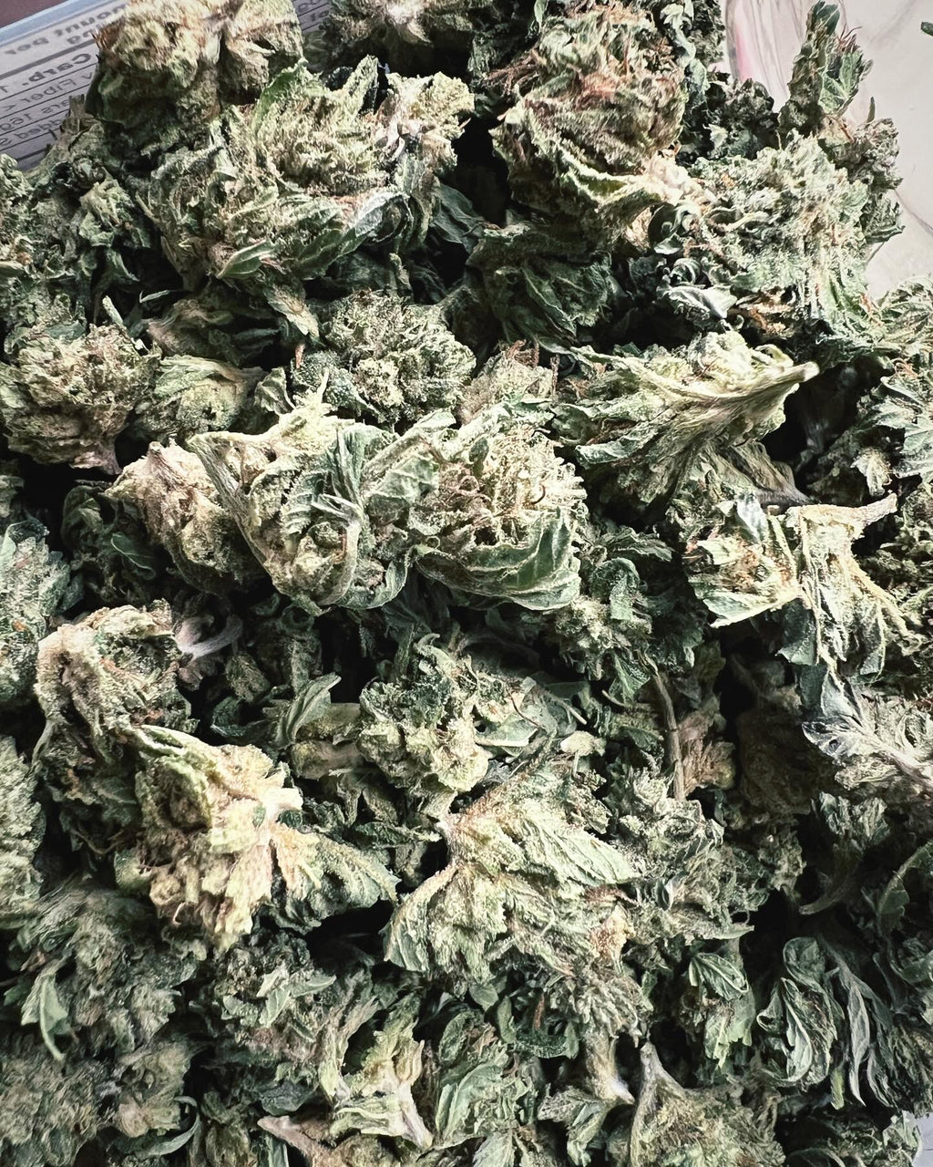 Ripkitty Bubba Kush 59 CBD Hemp Flowers - Bud’s Growery - Wholesale