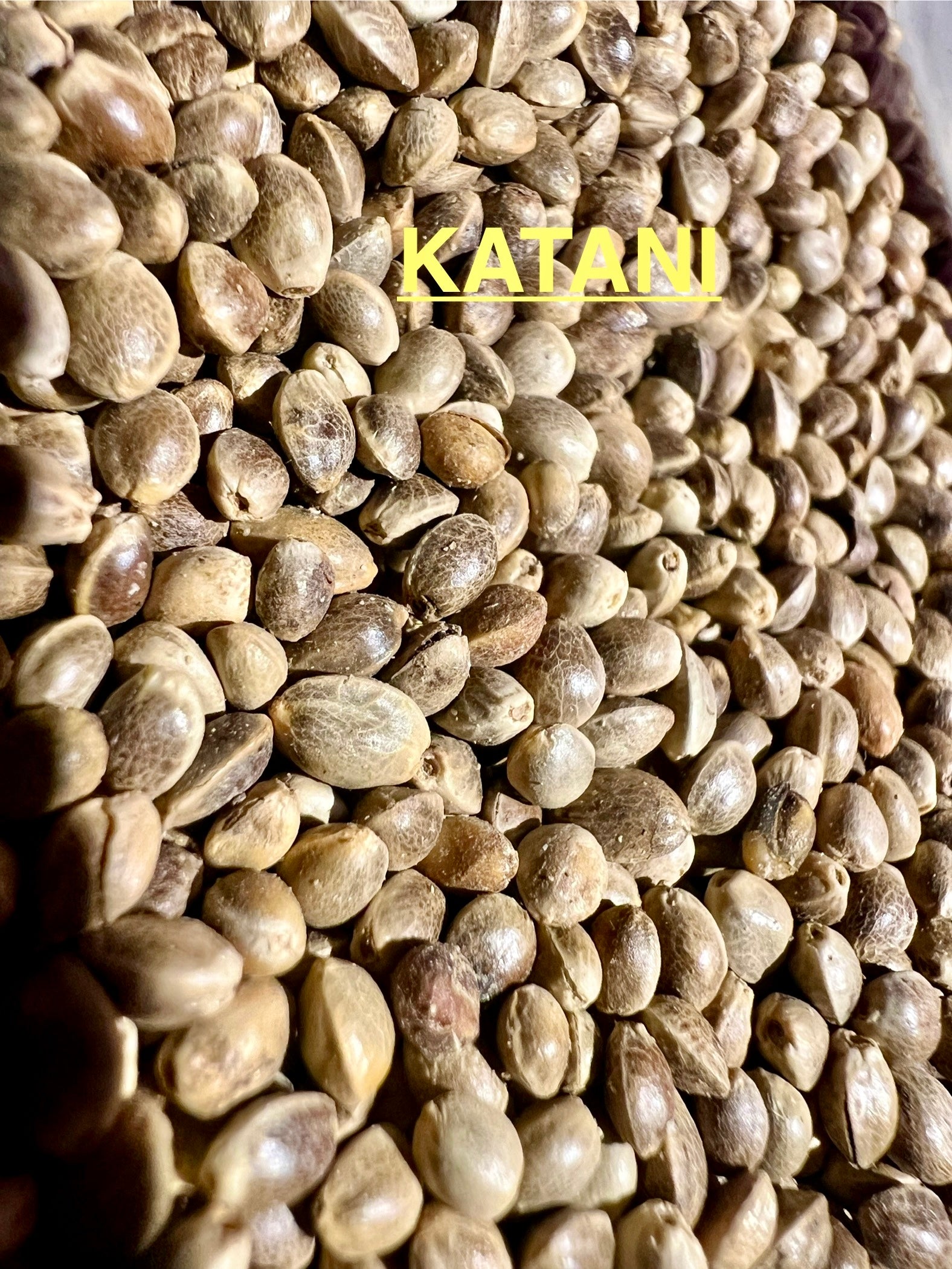 Ripkitty International & Domestic Live Raw Viable Hemp Seeds Sold in Bulk & Single Amounts for Agriculture, Poultry, Equine Feeding, & Livestock