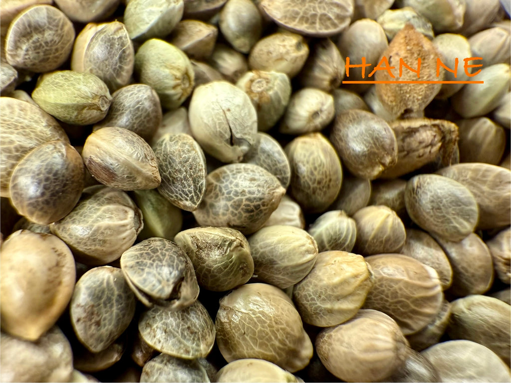 Ripkitty International & Domestic Live Raw Viable Hemp Seeds Sold in Bulk & Single Amounts for Agriculture, Poultry, Equine Feeding, & Livestock