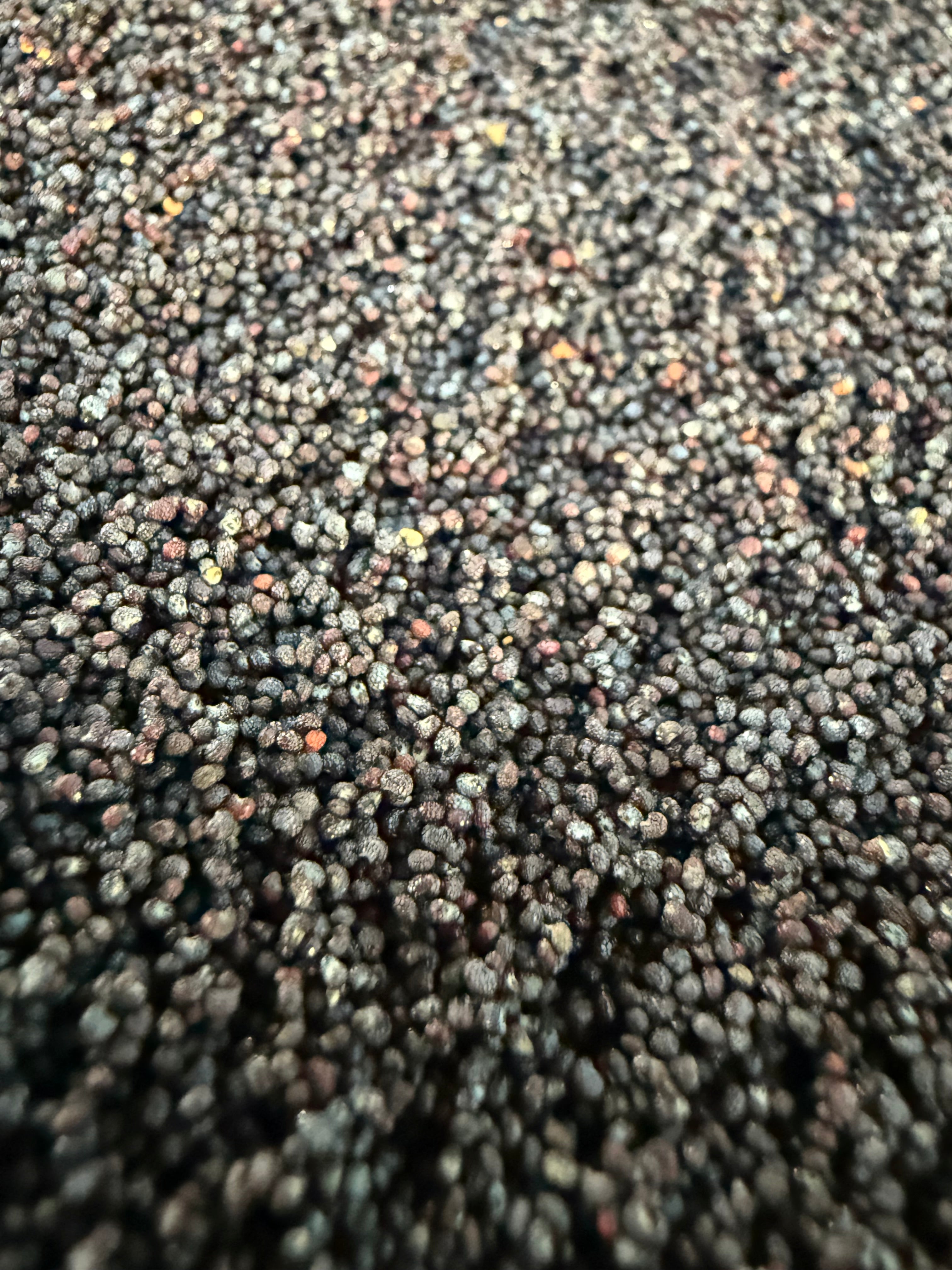 Ripkitty Premium Unwashed Untreated Unprocessed Organic Natural Whole Raw Papaver Somniferum Culinary Poppy Seeds