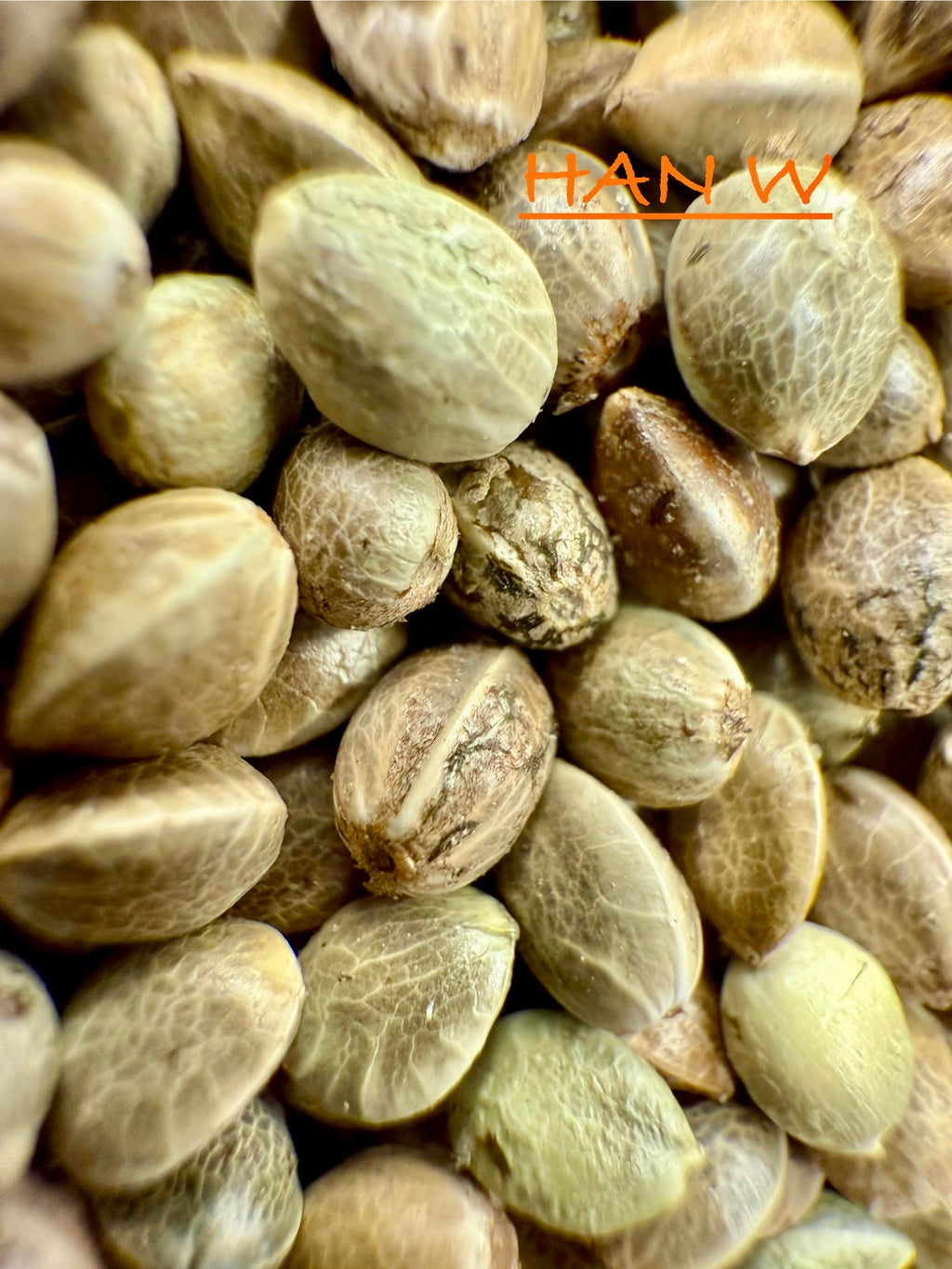Ripkitty International & Domestic Live Raw Viable Hemp Seeds Sold in Bulk & Single Amounts for Agriculture, Poultry, Equine Feeding, & Livestock