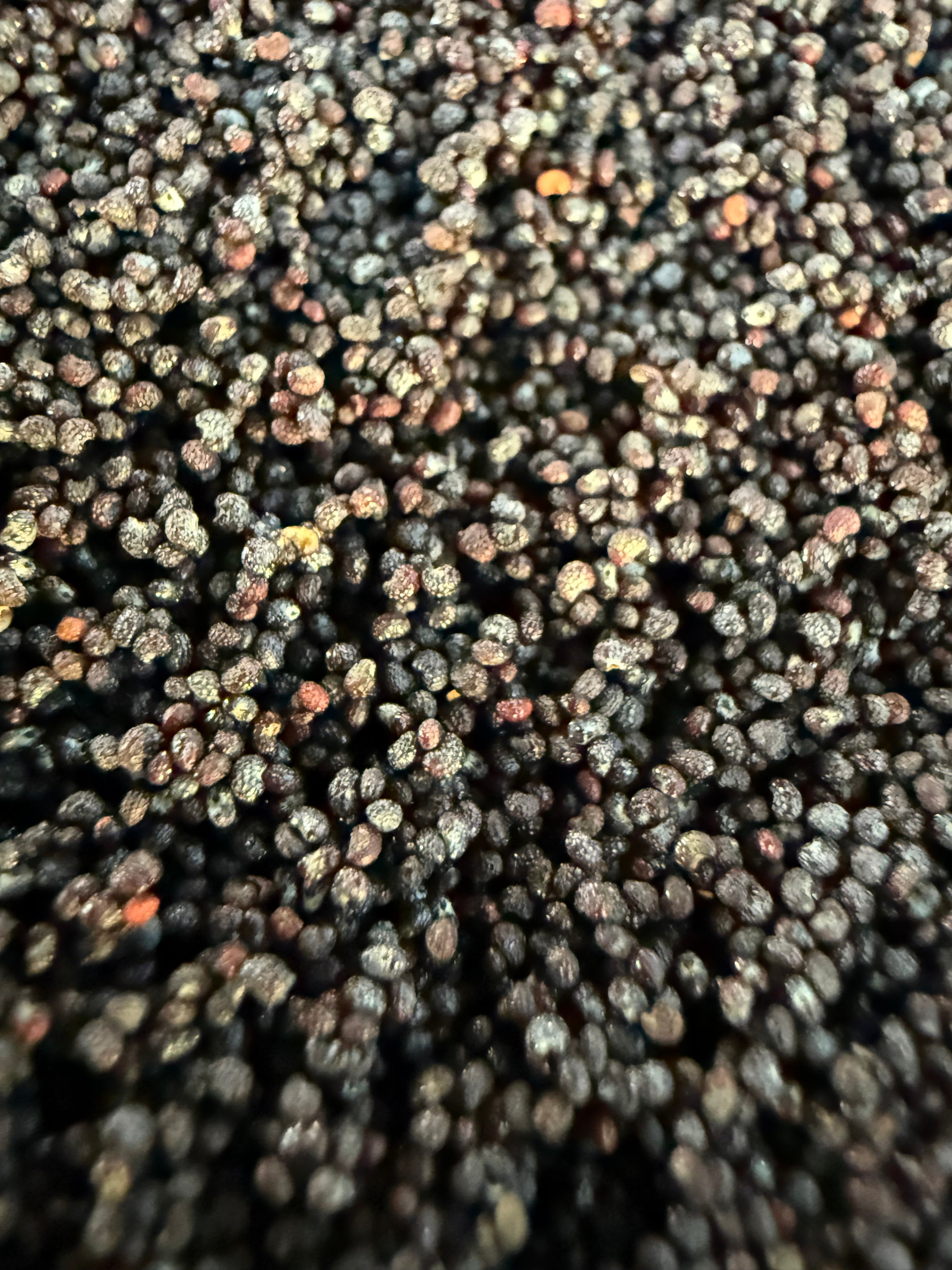 Ripkitty Premium Unwashed Untreated Unprocessed Organic Natural Whole Raw Papaver Somniferum Culinary Poppy Seeds