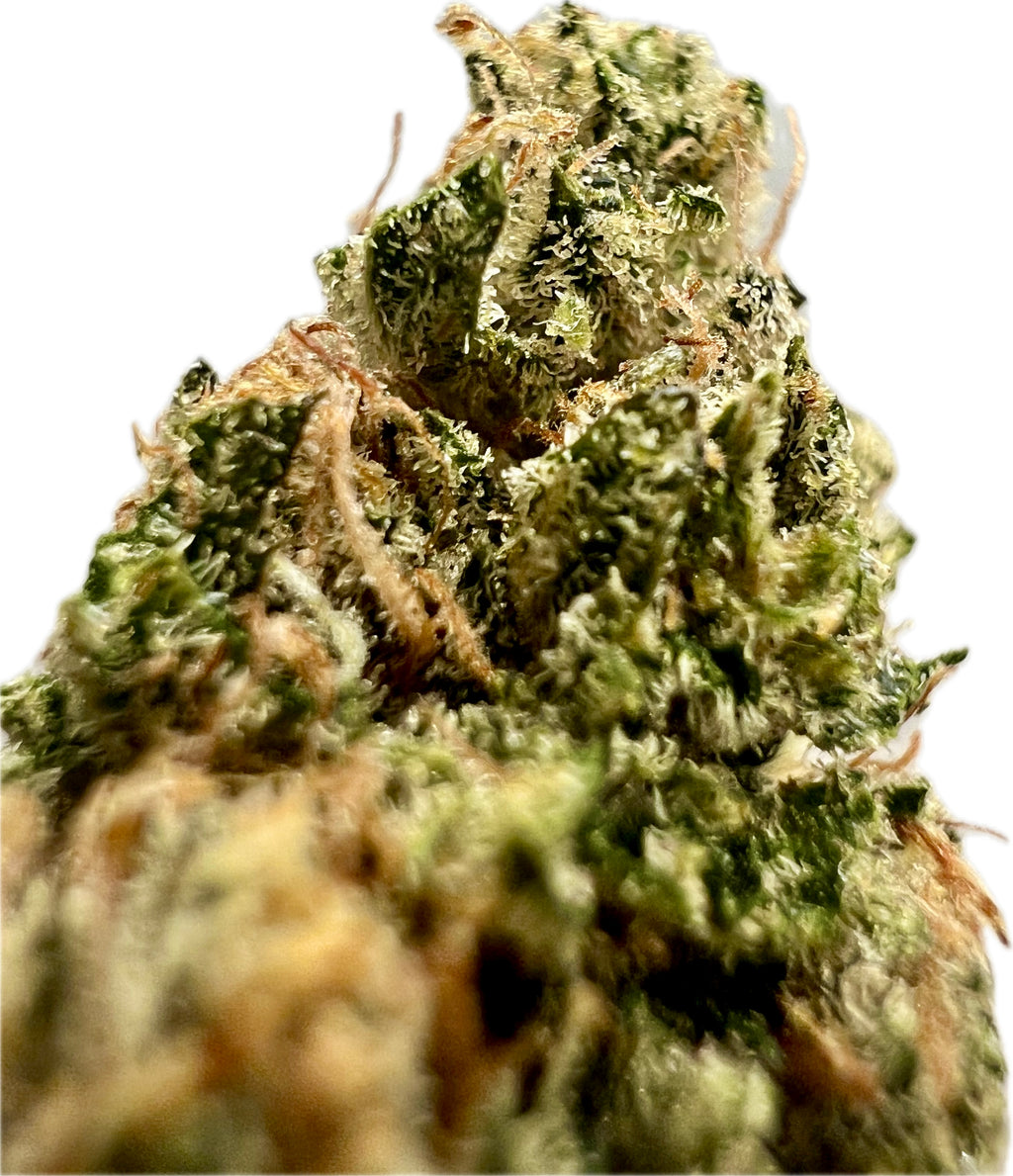 Ripkitty Indoor Big Apple Jack CBD Hemp Flowers