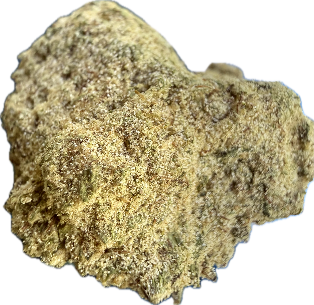 Ripkitty Cream Puff Flower