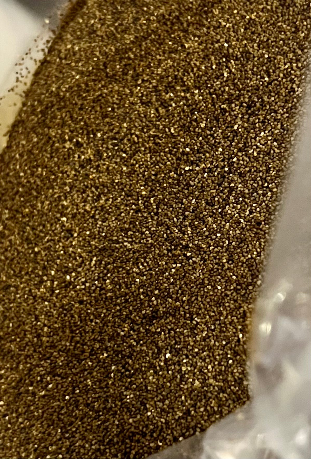 A close-up of Shirley Corn Poppy seeds, showing the multicolored mix of seeds with a reflective surface.