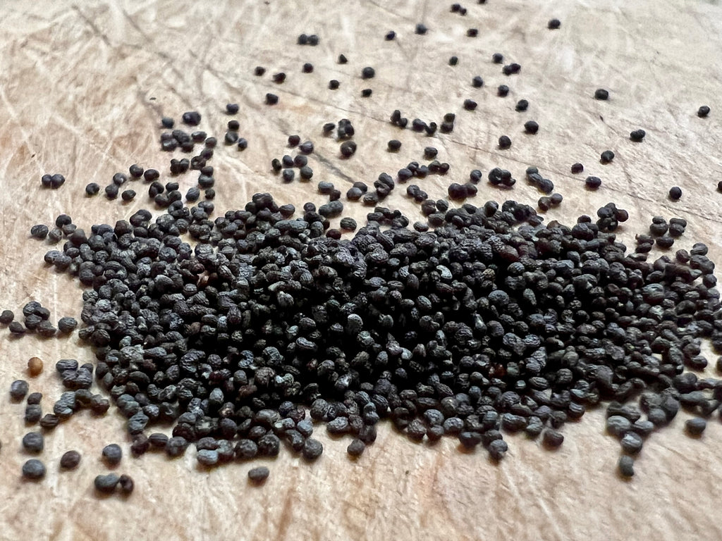 A scattering of blue and multicolor poppy seeds on a surface, with some seeds visible in the foreground and background.