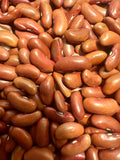 Ripkitty Red Kidney Bean Seeds - Drought-Tolerant Agricultural Grains